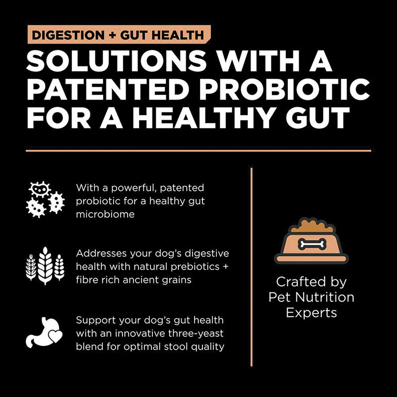 GO! SOLUTIONS, Adult - Digestion & Gut Health - Salmon w/ Ancient Grains - Dry Dog Food image number null