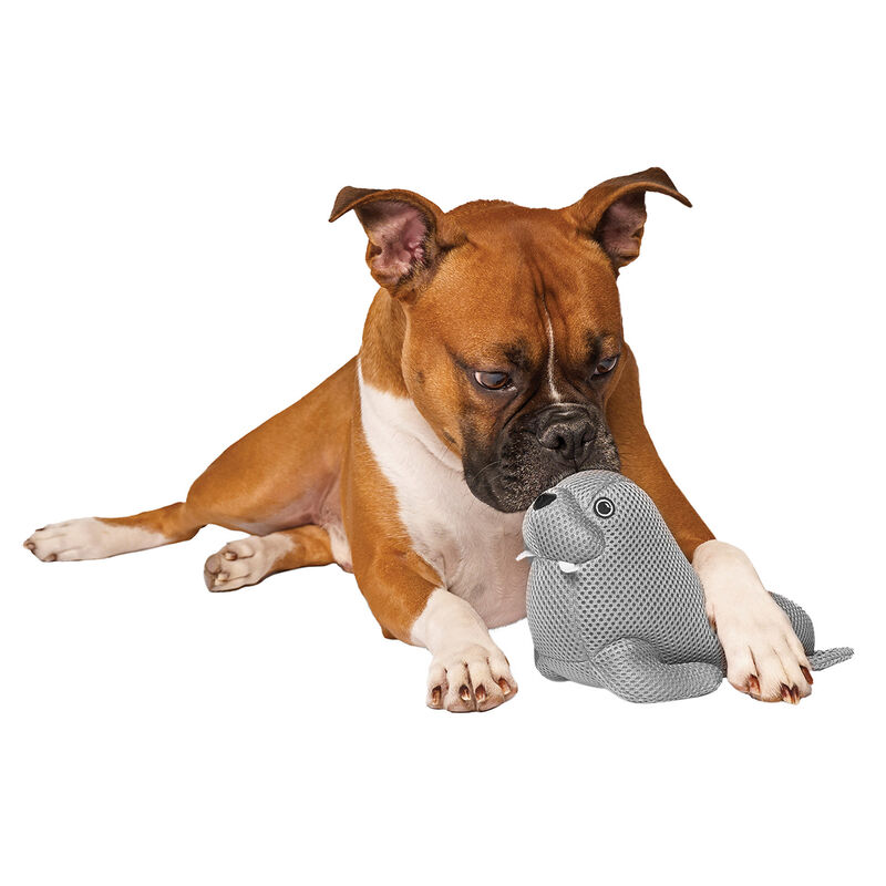 Canada Pooch, Freeze and Chill Cooling Pal Toys Grey Walrus image number null