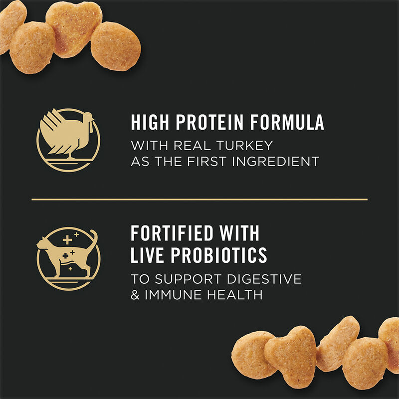Pro Plan, Feline Adult - Sensitive Skin & Stomach - Turkey & Oatmeal - 2.49 kg - Dry Cat Food image number null