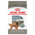 Royal Canin, Canine Care Nutrition Dental Large Dog Food - Dry Dog Food image number null