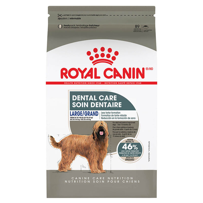 Royal Canin, Canine Care Nutrition Dental Large Dog Food - Dry Dog Food image number null
