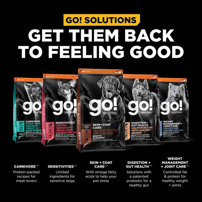 GO! SOLUTIONS, Adult LB - Skin & Coat w/ Grains - Salmon - Dry Dog Food image number null