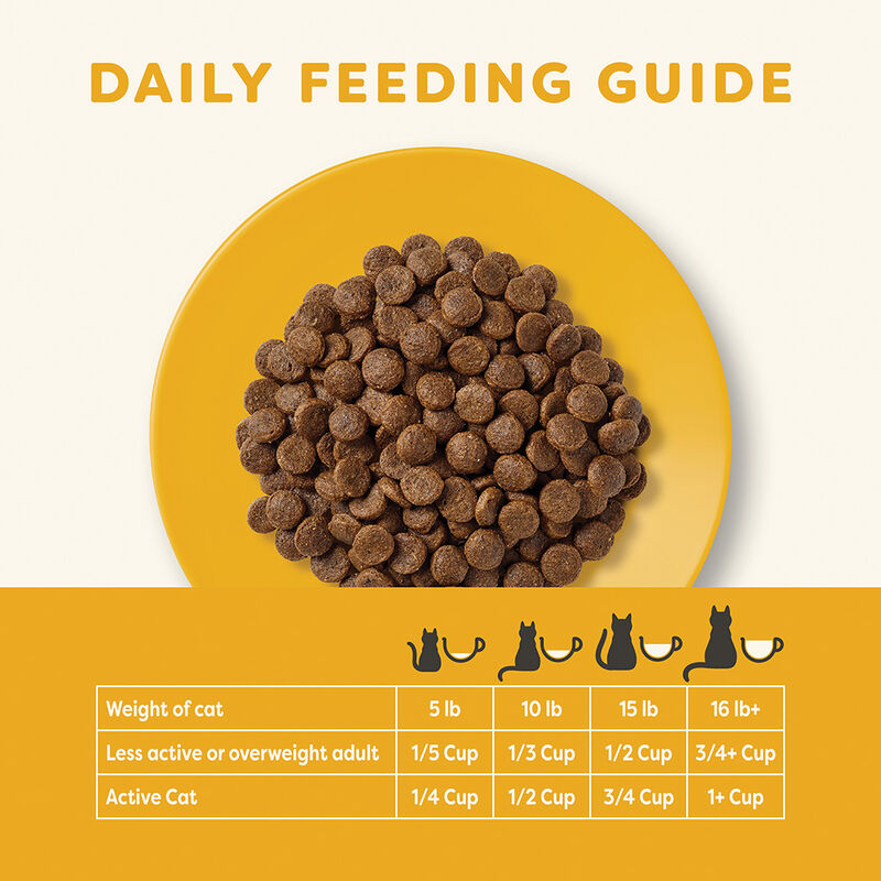 Applaws, Feline Adult - Chicken - 1.81 kg - Dry Cat Food image number null