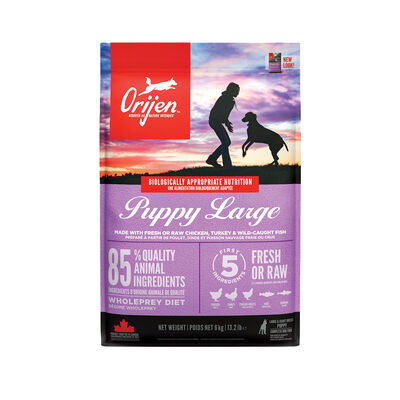 Orijen, Puppy Large Breed - Dry Dog Food