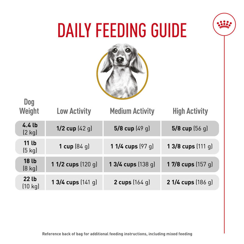 Royal Canin, Breed Health Nutrition Dachshund Adult - Dry Dog Food image number null