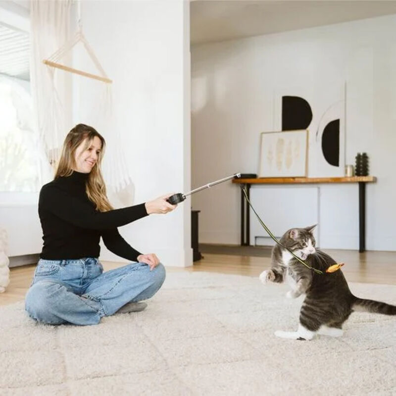 BeOneBreed, Retractable Cat Teaser image number null