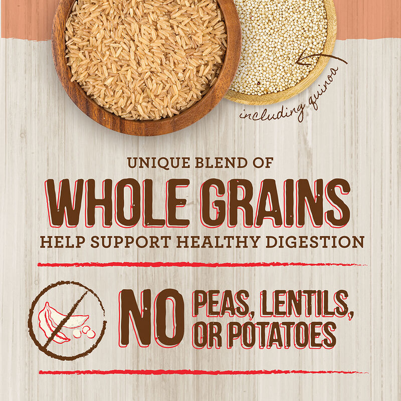 Merrick, Adult - Healthy Grains - Salmon & Brown Rice - Dry Dog Food image number null