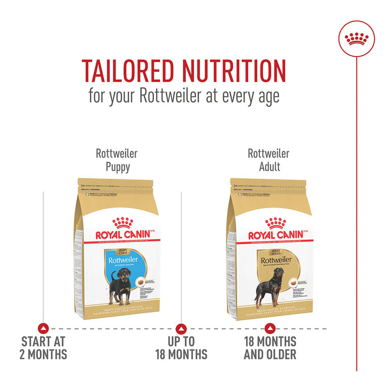 Royal Canin, Breed Health Nutrition Rottweiler Adult - Dry Dog Food image number null