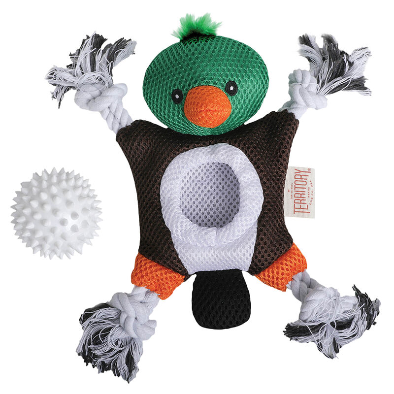 2-In-1 Mallard Toy image number null