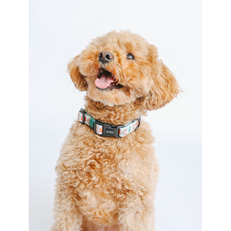 Sassy Woof, Peanut Camping Collar and Leash Set for Dogs image number null