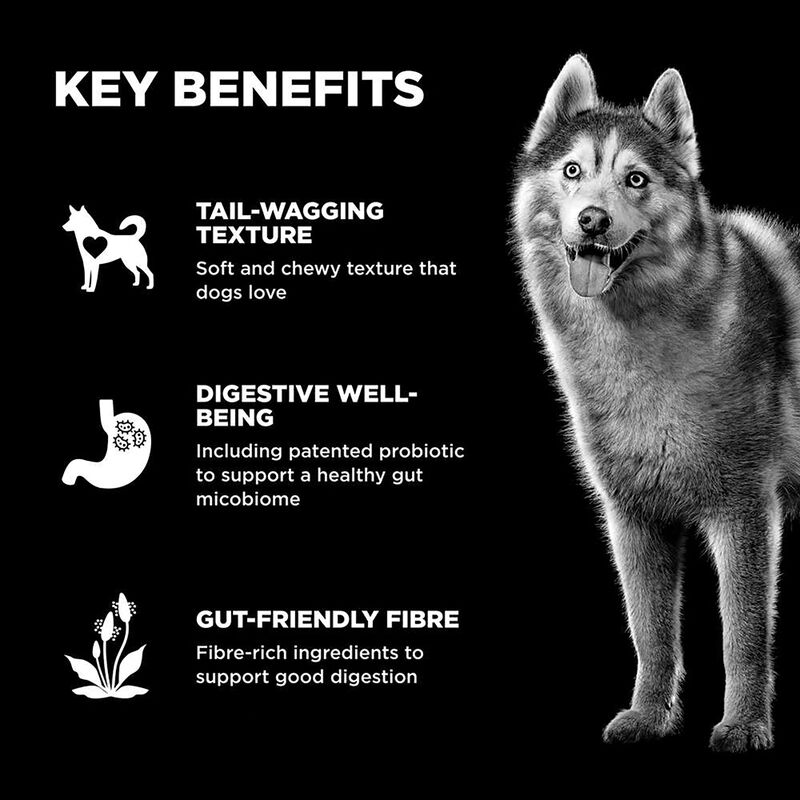 Go! Solutions,Benefit Chews - Digestion + Gut Health Salmon Dog Treats - 170 g image number null