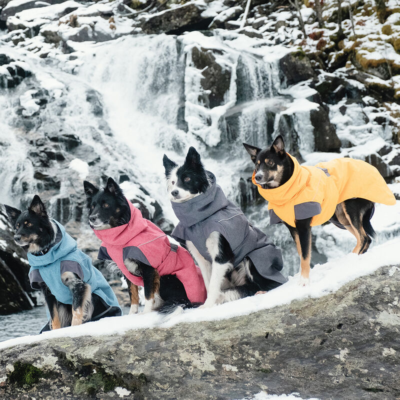 Hurtta, Expedition Parka - Bilberry image number null