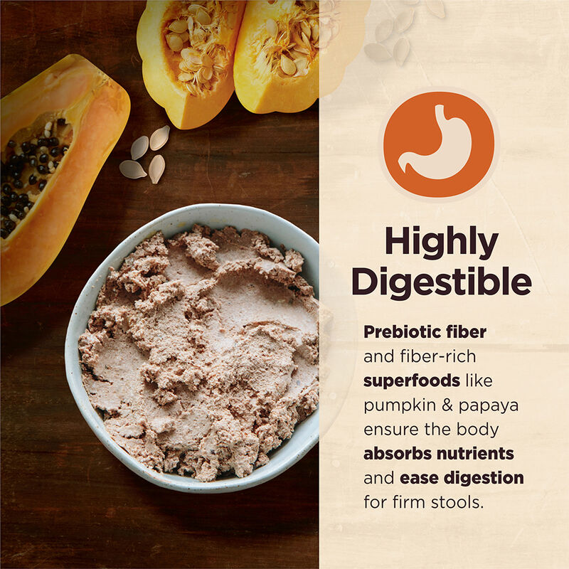 Wellness, Can, Adult - Core Digestive Health GF - Beef - 368 g - Wet Dog Food image number null