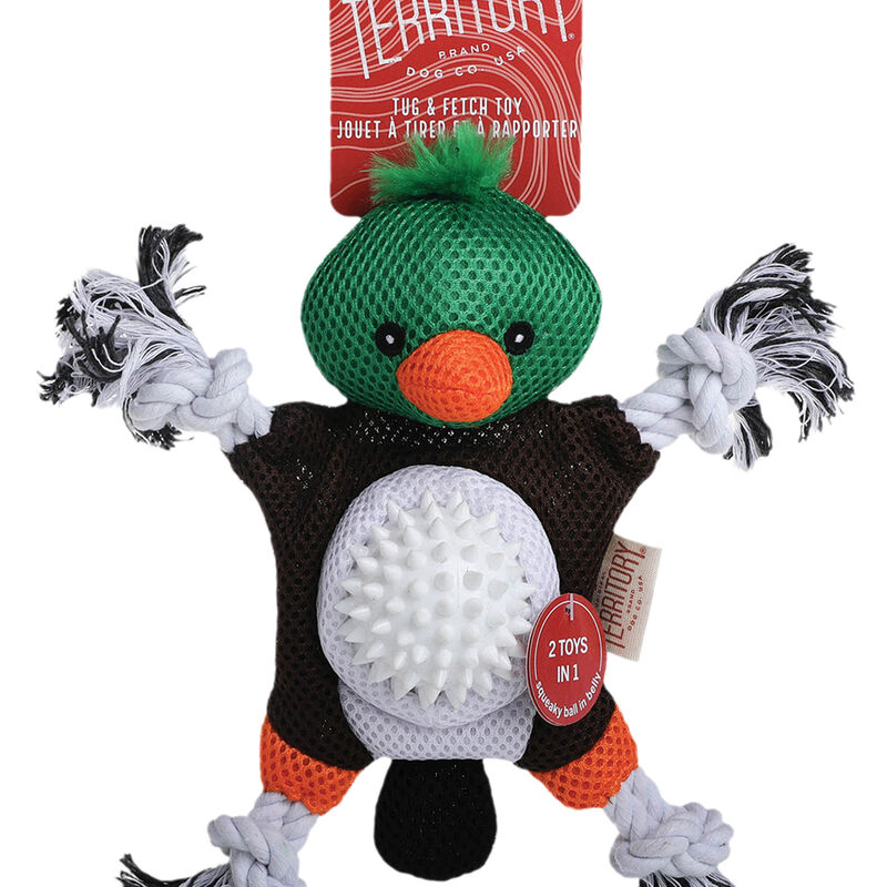 2-In-1 Mallard Toy image number null