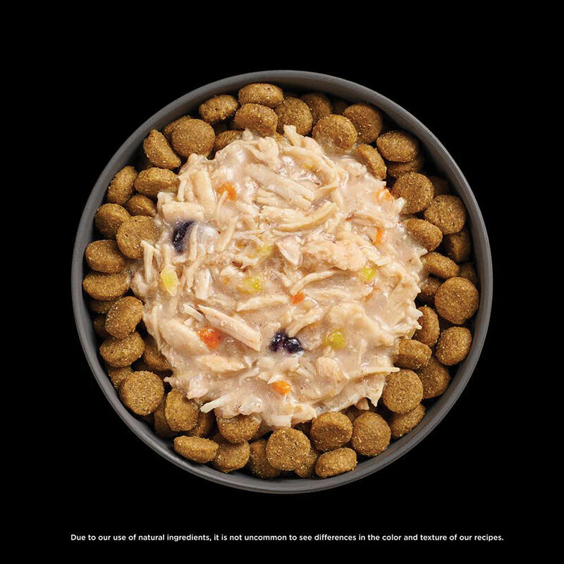 GO! SOLUTIONS,  BOOSTER Immune Health Shredded Chicken + Salmon in broth - 78 g - Wet Dog Food image number null