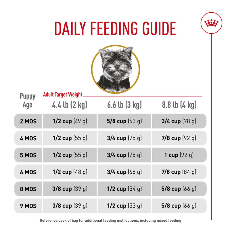 Royal Canin, Breed Health Nutrition Yorkshire Terrier Puppy - Dry Dog Food image number null