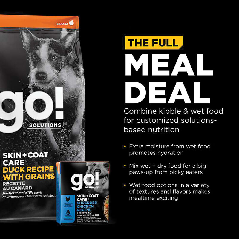 GO! SOLUTIONS, SKIN + COAT CARE Duck Recipe with Grains for dogs - Dry Dog Food image number null