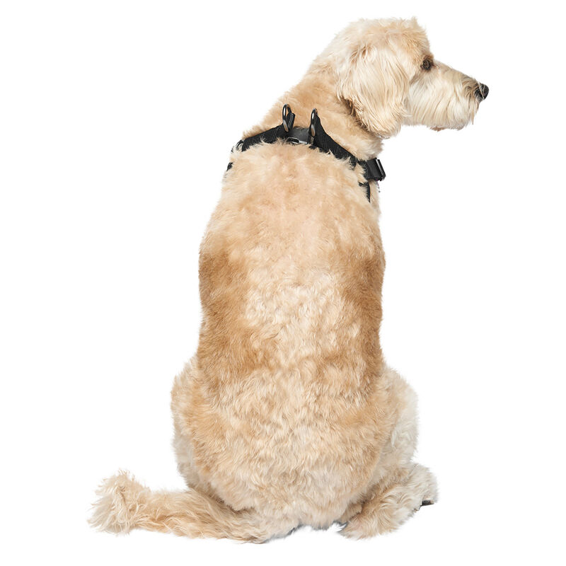 Canada Pooch, Easy-On Step-In Harness Black image number null