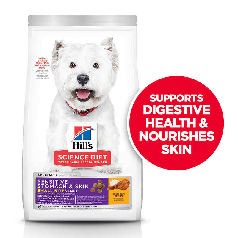 Science Diet, Adult Sensitive Stomach & Skin Small Bites Chicken Recipe Dry Dog Food - Dry Dog Food image number null