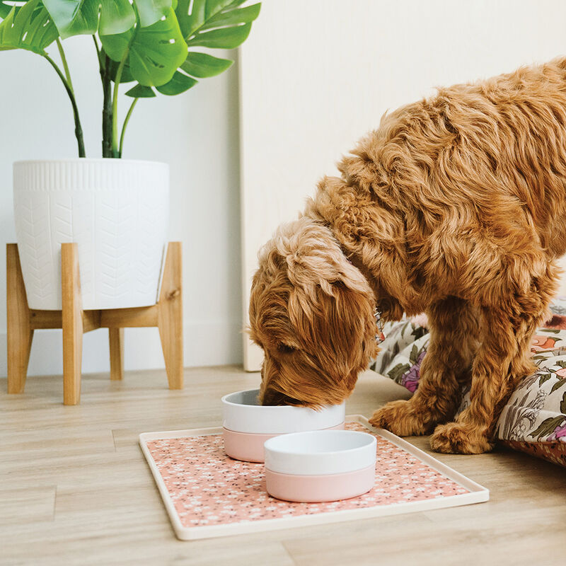 BeOneBreed, Ceramic and Silicone Bowl - Peach image number null