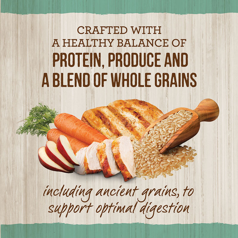 Merrick, Senior - Healthy Grains - Dry Dog Food image number null