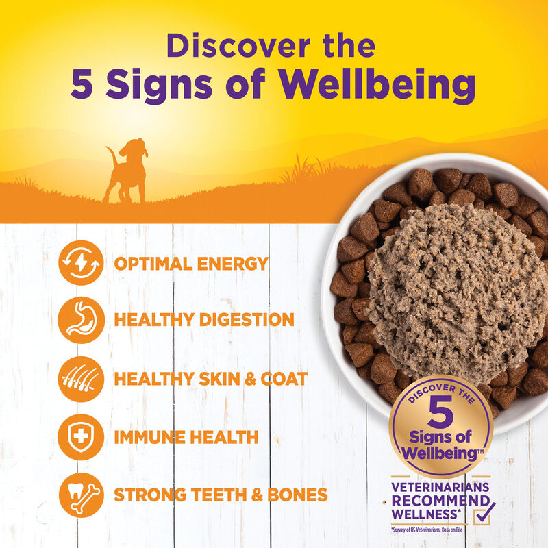 Wellness, Canned Dog Food, Just for Puppy - Wet Dog Food image number null