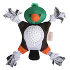 2-In-1 Mallard Toy image number null