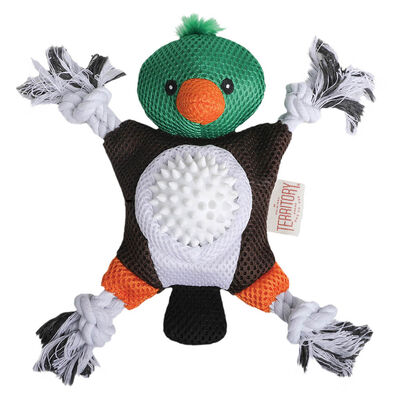 2-In-1 Mallard Toy