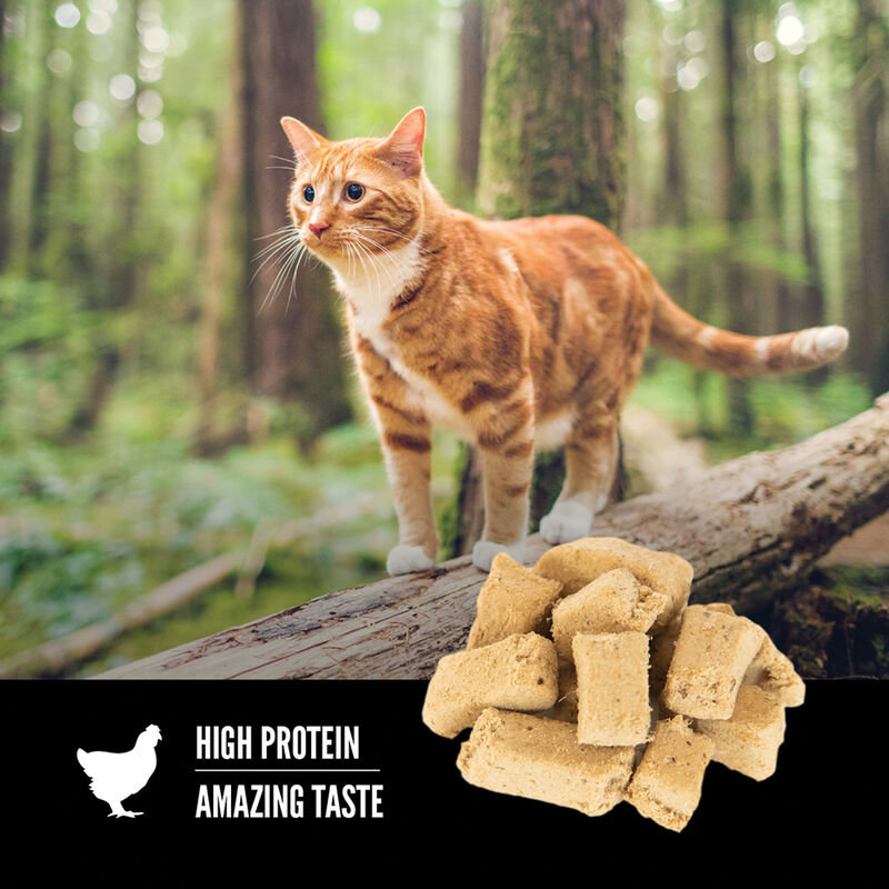 Orijen, Feline, Freeze Dried Treat - Original - 35 g - Freeze Dried Cat Treat image number null