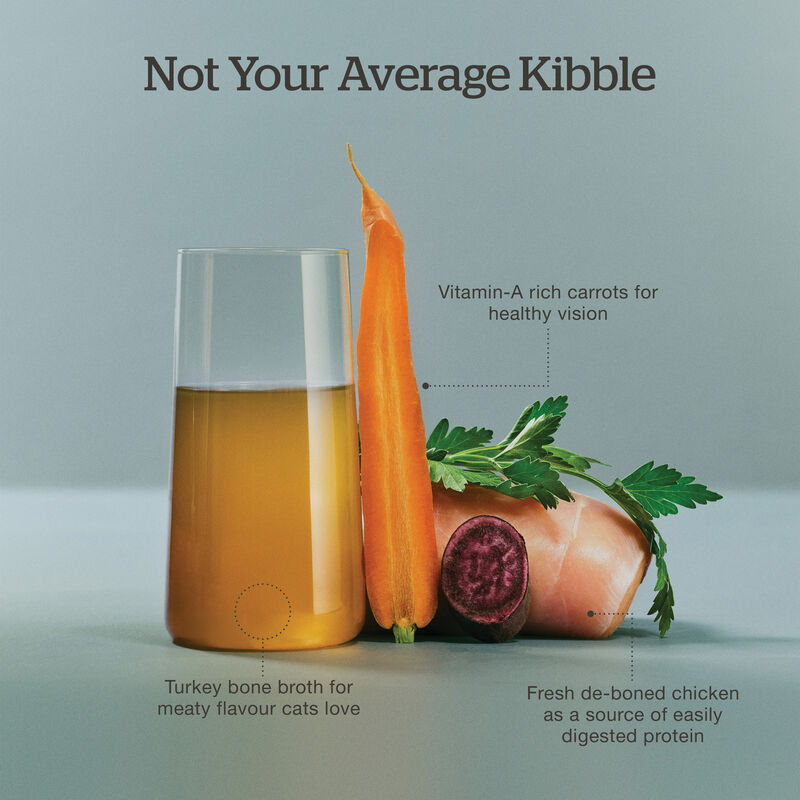 Good Gravy - Chicken Coated in Bone Broth - Dry Cat Food image number null