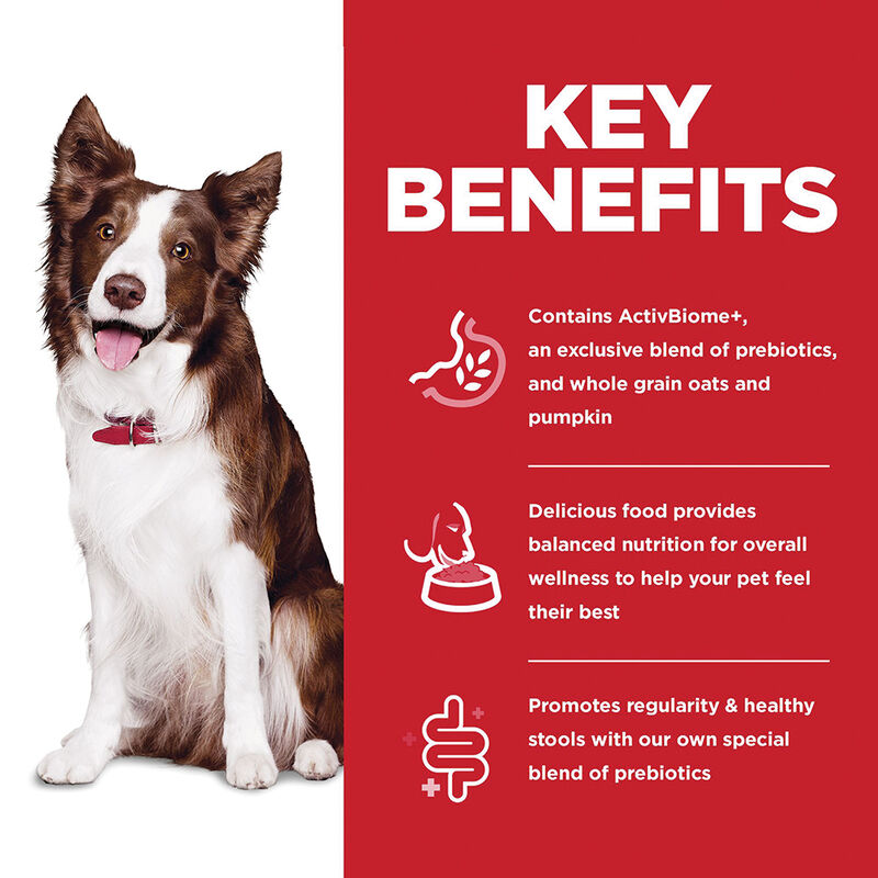 Science Diet, Adult - Perfect Digestion Chicken - Dry Dog Food image number null