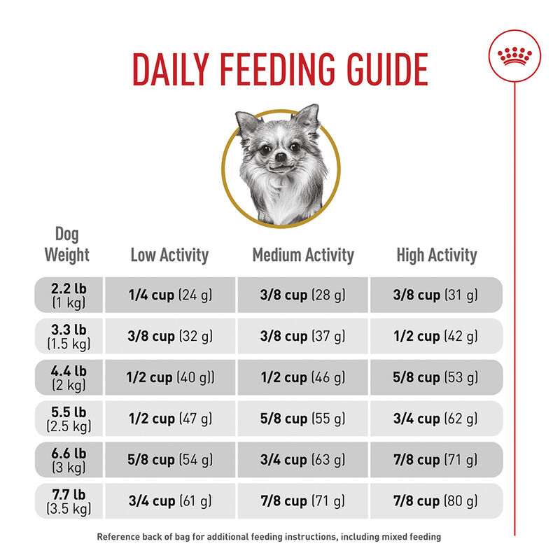 Royal Canin, Breed Health Nutrition Chihuahua Adult - Dry Dog Food image number null