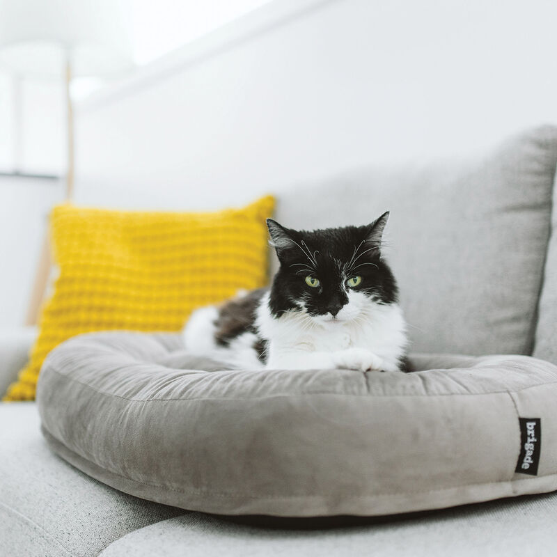 Brigade, Puffy Bed - Grey Velvet image number null