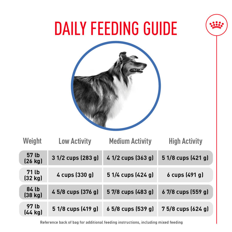 Royal Canin, Size Health Nutrition Large Weight Care - Dry Dog Food image number null