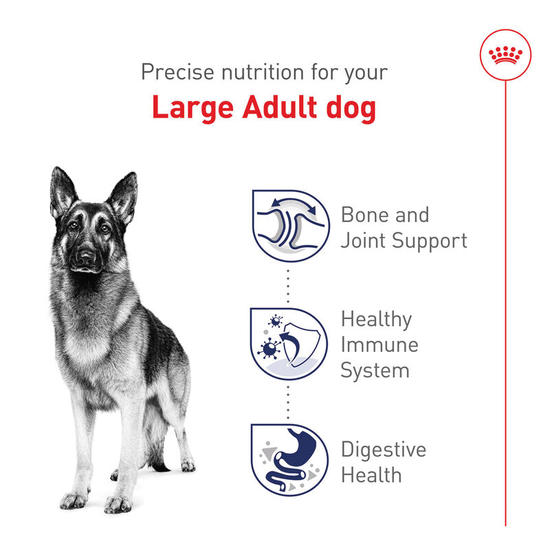Royal Canin, Size Health Nutrition Large Adult Dog 30LBS - Dry Dog Food image number null