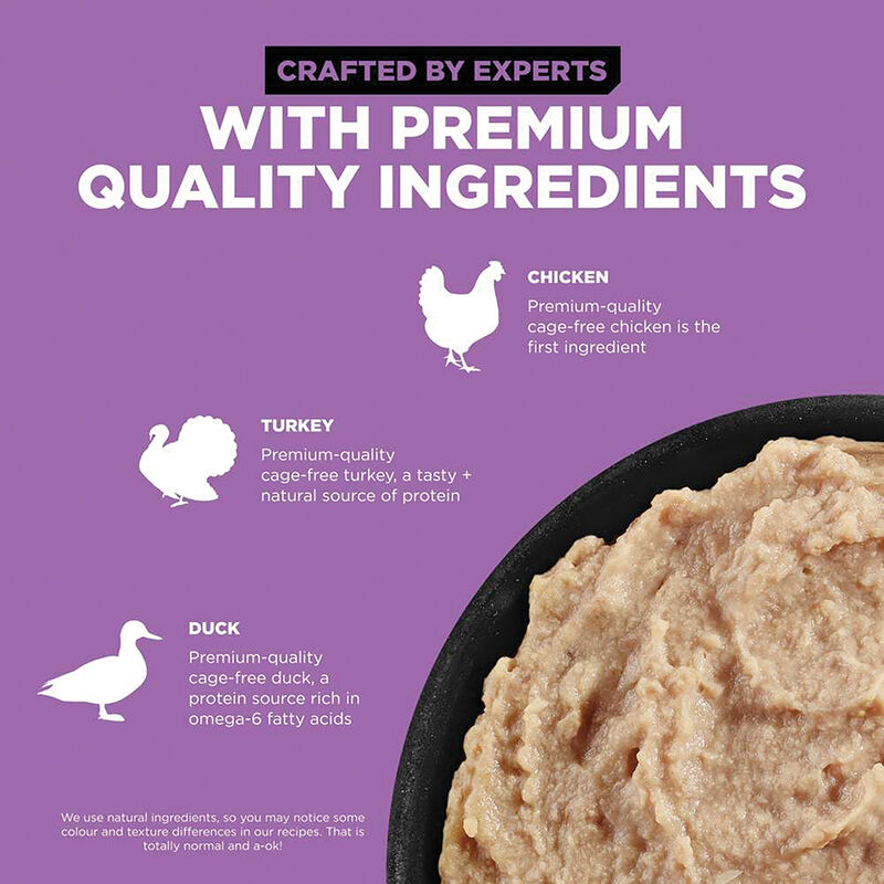 GO! SOLUTIONS, CARNIVORE Grain Free Chicken, Turkey + Duck PÃ¢tÃ© for cats - Wet Cat Food image number null