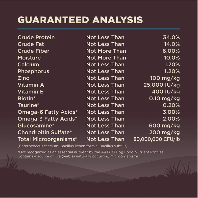 Wellness, Core, Grain Free Ocean - Dry Dog Food image number null