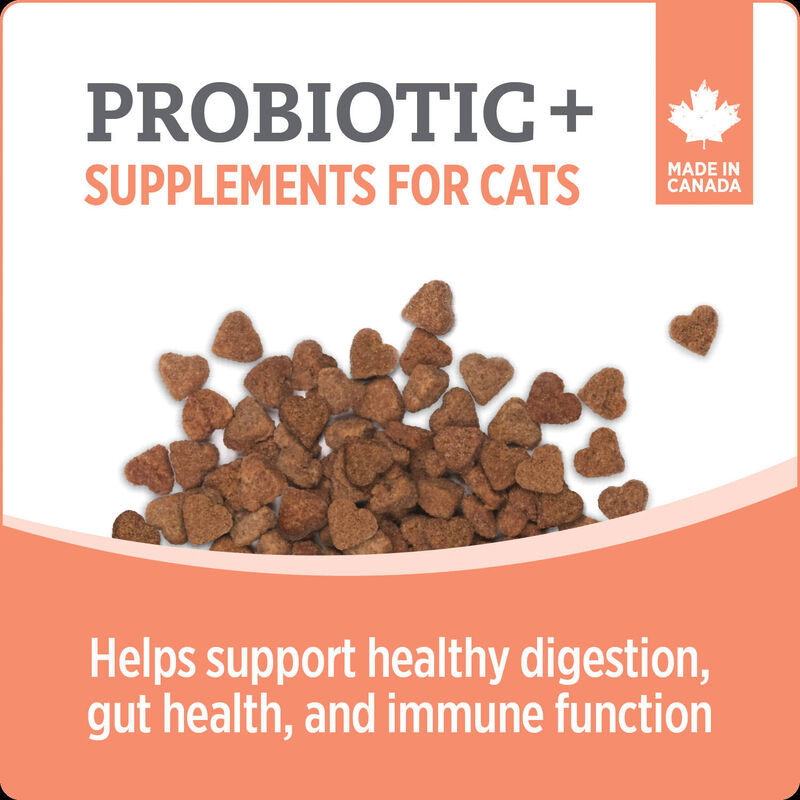 Nutrience, Probiotic+ Cat Supplement image number null
