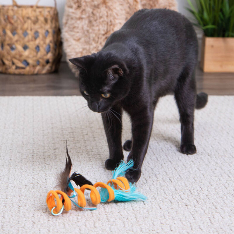 Instinct by SmartyK, Crazy Coil Springy Toy w/Fringe image number null