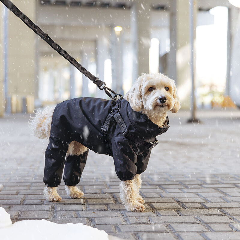 Harness Snowsuit - Black image number null