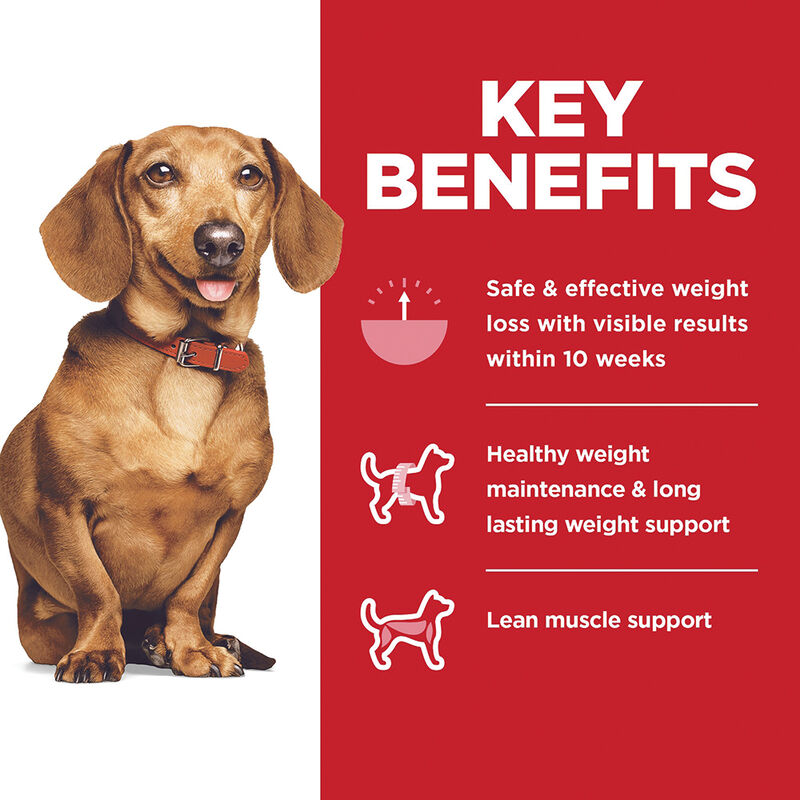 Science Diet, Adult Perfect Weight Small & Mini Chicken Recipe Dry Dog Food for healthy weight manag image number null