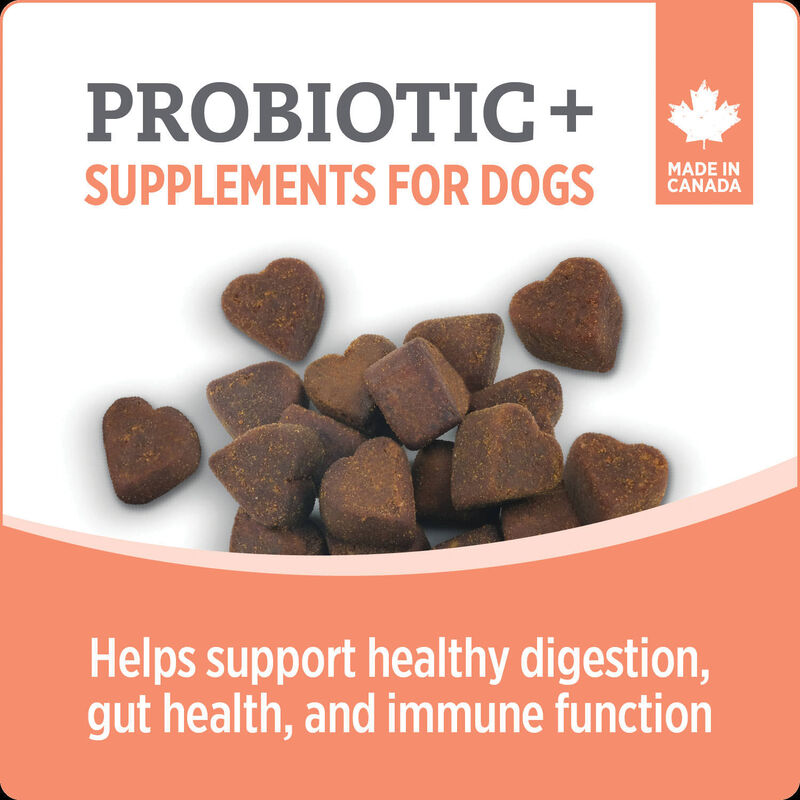 Nutrience, Probiotic+ Dog Supplement image number null