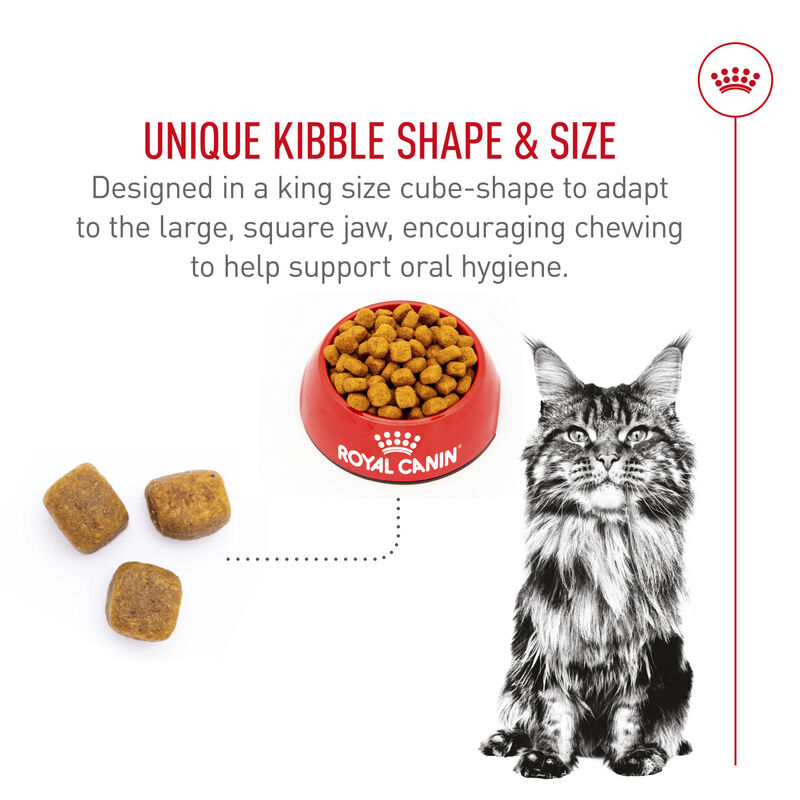 Royal Canin, Feline Breed Nutrition Maine Coon - Dry Cat Food image number null