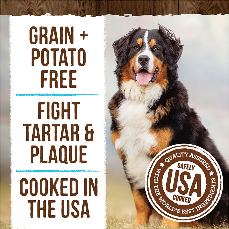 Merrick, Fresh Kisses Brush - Mint - Dog Treat image number null