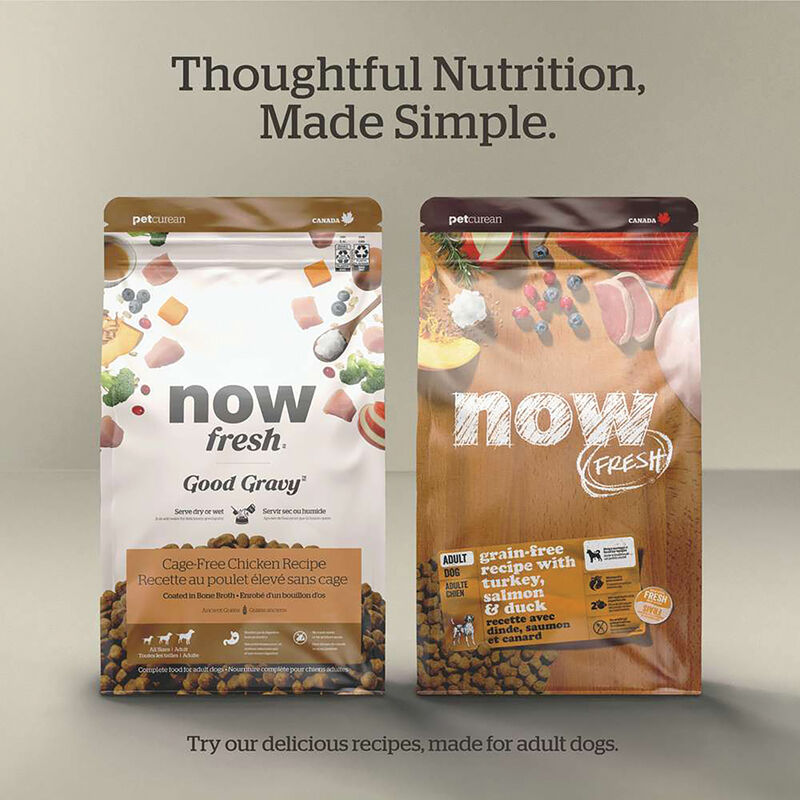 Good Gravy - Salmon Recipe with Ancient Grains - Adult - Dry Dog Food image number null