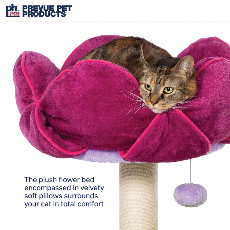 Prevue, Flower Power Cat Post image number null