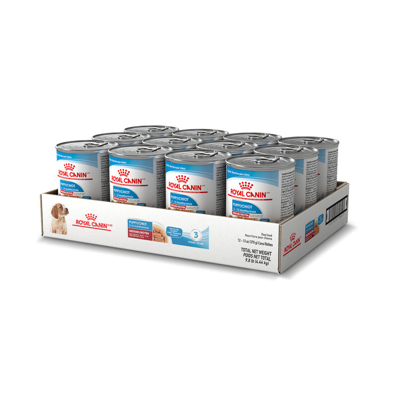 Royal Canin, Size Health Nutrition Medium Puppy Chunks in Gravy 12/13oz - Wet Dog Food image number null