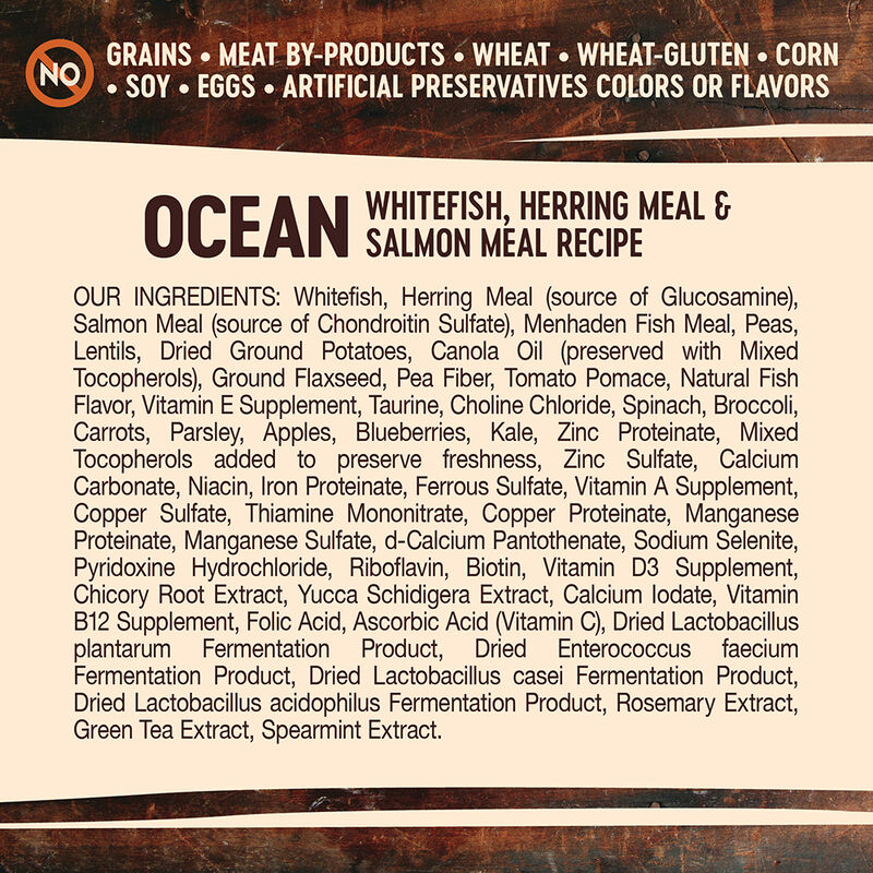 Wellness, Core, Grain Free Ocean - Dry Dog Food image number null