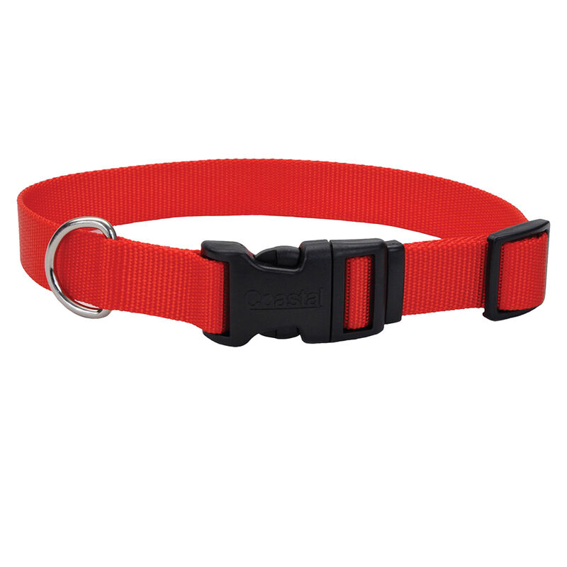 Adjustable Dog Collar with Plastic Buckle, Red, Medium - 1" x 14"-20" image number null