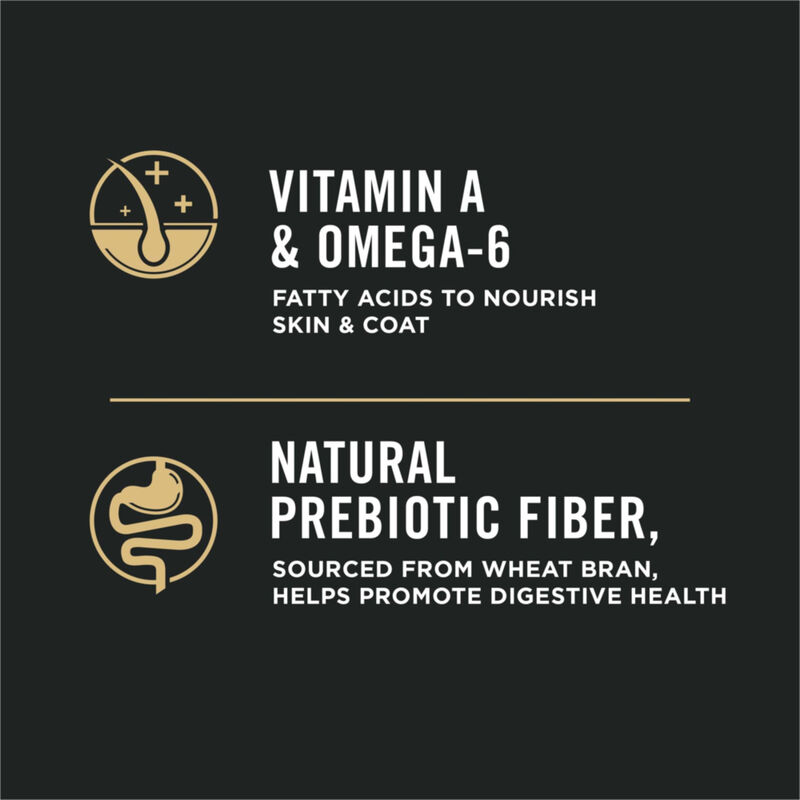 Pro Plan, Shredded Chicken & Rice - Dry Dog Food image number null